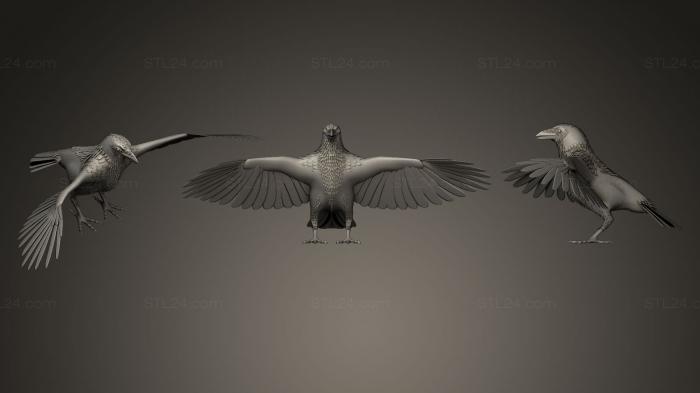 Статуэтки птицы (Белая ворона, STKB_0131) 3D модель для ЧПУ станка